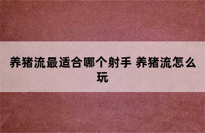 养猪流最适合哪个射手 养猪流怎么玩